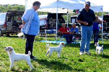 Bracken, Brynn, & Brass at Yankee